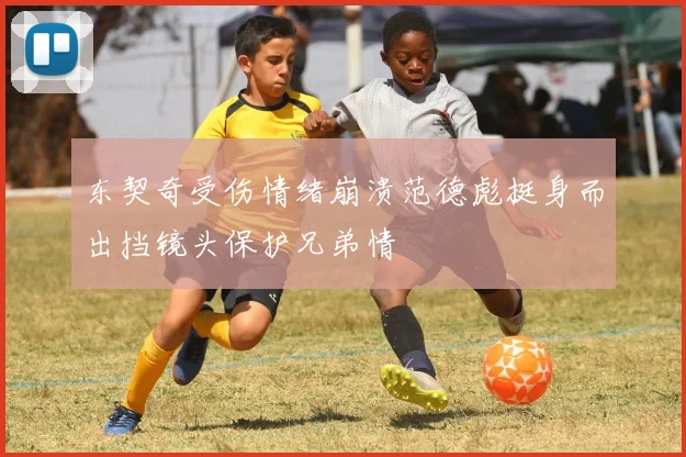 东契奇受伤情绪崩溃范德彪挺身而出挡镜头保护兄弟情